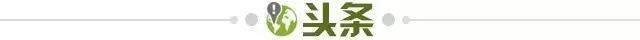 世界杯高清观看-【早报】白岩松vs陈戌源：《白问》真的白问了吗？